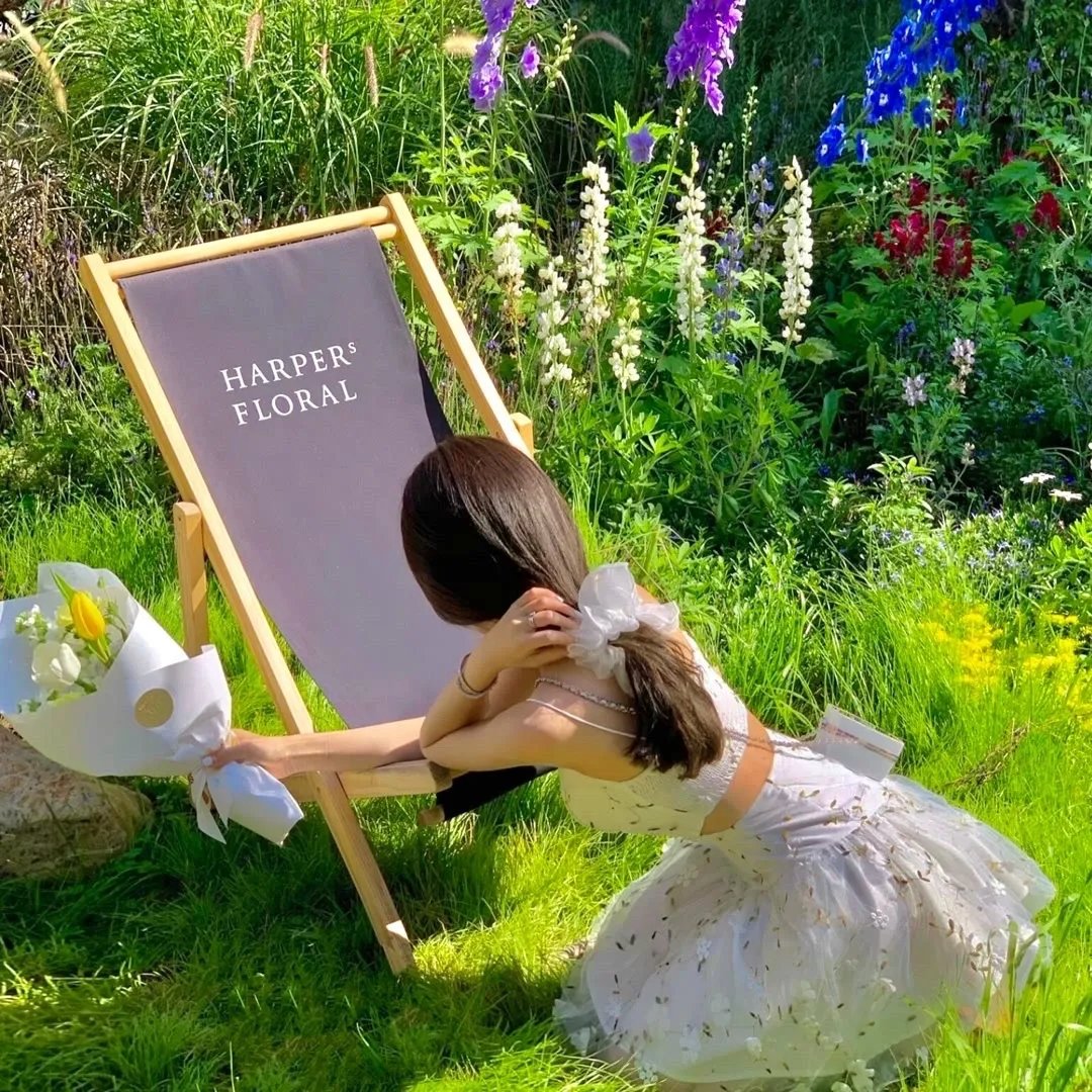 女黑侠木兰花粤语